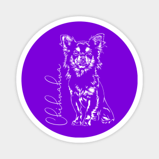 Cute Chihuahua dog Portrait Magnet